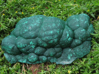 Natural Botryoidal Malachite Specimen x 1 From Kolwezi, Congo - TopRock