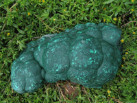 Natural Botryoidal Malachite Specimen x 1 From Kolwezi, Congo - TopRock