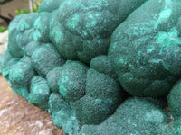 Natural Botryoidal Malachite Specimen x 1 From Kolwezi, Congo - TopRock