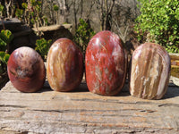 Polished Red Podocarpus Petrified Wood Standing Free Forms x 4 From Mahajanga, Madagascar