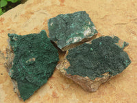 Natural Micro Botryoidal Crystalline Malachite Specimens  x 3 From Congo - TopRock