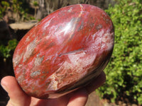 Polished Red Podocarpus Petrified Wood Standing Free Forms x 4 From Mahajanga, Madagascar