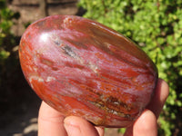 Polished Red Podocarpus Petrified Wood Standing Free Forms x 4 From Mahajanga, Madagascar