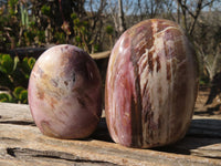 Polished Red Podocarpus Petrified Wood Standing Free Forms x 4 From Mahajanga, Madagascar