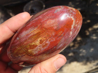 Polished Red Podocarpus Petrified Wood Standing Free Forms x 4 From Mahajanga, Madagascar