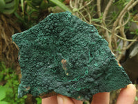 Natural Micro Botryoidal Crystalline Malachite Specimens  x 3 From Congo - TopRock