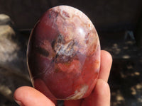 Polished Red Podocarpus Petrified Wood Standing Free Forms x 4 From Mahajanga, Madagascar