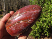 Polished Red Podocarpus Petrified Wood Standing Free Forms x 4 From Mahajanga, Madagascar