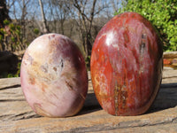 Polished Red Podocarpus Petrified Wood Standing Free Forms x 4 From Mahajanga, Madagascar