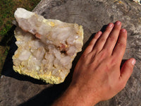 Natural Hematoid Floater Quartz Crystal Cluster x 1 From Karoi, Zimbabwe - TopRock