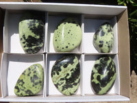 Polished Extra Large Leopard Stone Free Forms  x 6 From Zimbabwe - TopRock