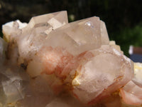 Natural Hematoid Floater Quartz Crystal Cluster x 1 From Karoi, Zimbabwe - TopRock