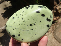 Polished Extra Large Leopard Stone Free Forms  x 6 From Zimbabwe - TopRock