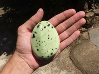 Polished Extra Large Leopard Stone Free Forms  x 6 From Zimbabwe - TopRock