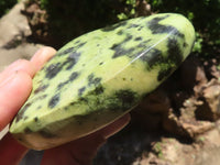 Polished Extra Large Leopard Stone Free Forms  x 6 From Zimbabwe - TopRock