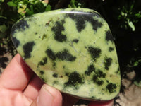 Polished Extra Large Leopard Stone Free Forms  x 6 From Zimbabwe - TopRock