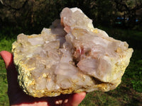 Natural Hematoid Floater Quartz Crystal Cluster x 1 From Karoi, Zimbabwe - TopRock