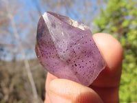 Natural Window Amethyst Crystals  x 20 From Chiredzi, Zimbabwe