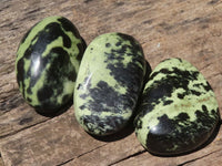 Polished Extra Large Leopard Stone Free Forms  x 6 From Zimbabwe - TopRock