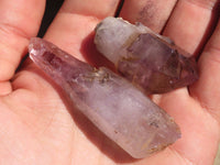 Natural Window Amethyst Crystals  x 20 From Chiredzi, Zimbabwe