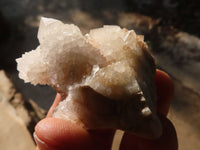 Natural White Cactus Flower Spirit Quartz Specimens x 35 From Boekenhouthoek, South Africa