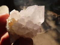 Natural White Cactus Flower Spirit Quartz Specimens x 35 From Boekenhouthoek, South Africa