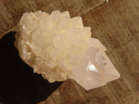 Natural White Cactus Flower Spirit Quartz Specimens x 35 From Boekenhouthoek, South Africa