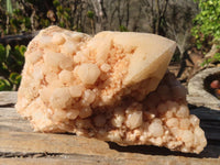 Natural Large Cascading Candle Quartz Specimens  x 2 From Madagascar