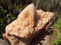 Natural Large Cascading Candle Quartz Specimens  x 2 From Madagascar