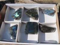 Polished Labradorite Standing Free Forms  x 6 From Tulear, Madagascar