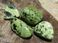 Polished Extra Large Leopard Stone /Serpentine Free Forms x 4 From Zimbabwe - TopRock