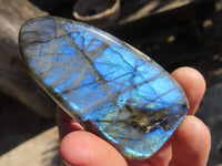 Polished Labradorite Standing Free Forms  x 6 From Tulear, Madagascar