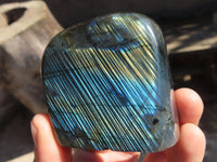 Polished Labradorite Standing Free Forms  x 6 From Tulear, Madagascar