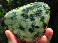 Polished Extra Large Leopard Stone /Serpentine Free Forms x 4 From Zimbabwe - TopRock