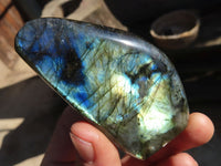 Polished Labradorite Standing Free Forms  x 6 From Tulear, Madagascar