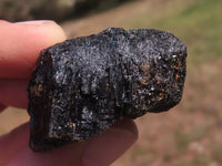 Natural Small Black Alluvial Tourmaline / Schorl Crystals  x 63 From Zimbabwe - TopRock