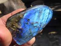 Polished Labradorite Standing Free Forms  x 6 From Tulear, Madagascar