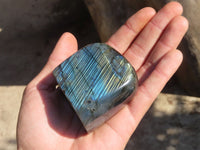 Polished Labradorite Standing Free Forms  x 6 From Tulear, Madagascar