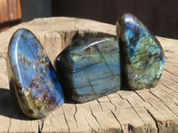 Polished Labradorite Standing Free Forms  x 6 From Tulear, Madagascar