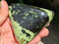 Polished Extra Large Leopard Stone /Serpentine Free Forms x 4 From Zimbabwe - TopRock