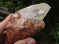 Natural Golden Tinted Quartz Clusters  x 9 From Zambia - TopRock