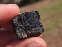 Natural Small Black Alluvial Tourmaline / Schorl Crystals  x 63 From Zimbabwe - TopRock