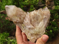 Natural Cascading White Phantom Smokey Quartz Clusters  x 3 From Luena, Congo - TopRock