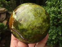 Polished Stunning Green Opal Spheres  x 2 From Madagascar - TopRock