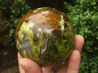 Polished Stunning Green Opal Spheres  x 2 From Madagascar - TopRock