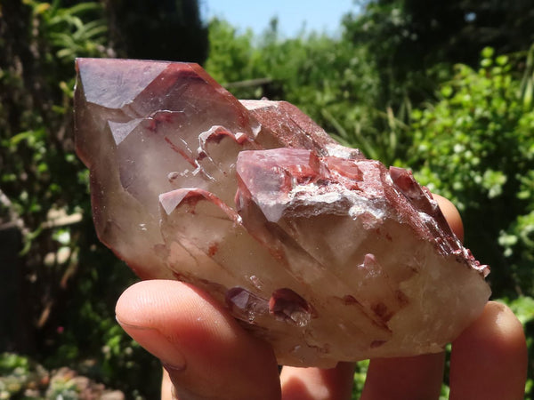 Natural Red Hematoid Phantom Quartz Crystals  x 13 From Karoi, Zimbabwe - TopRock