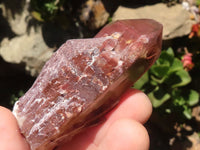 Natural Red Hematoid Phantom Quartz Crystals  x 13 From Karoi, Zimbabwe - TopRock