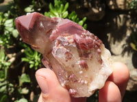 Natural Red Hematoid Phantom Quartz Crystals  x 13 From Karoi, Zimbabwe - TopRock