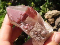 Natural Red Hematoid Phantom Quartz Crystals  x 13 From Karoi, Zimbabwe - TopRock