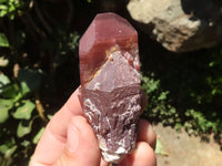 Natural Red Hematoid Phantom Quartz Crystals  x 13 From Karoi, Zimbabwe - TopRock